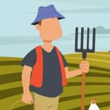 Agriculture Officer